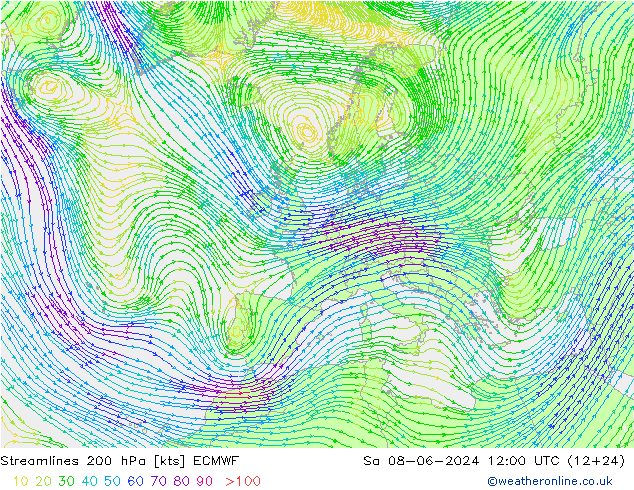 Stromlinien 200 hPa ECMWF Sa 08.06.2024 12 UTC