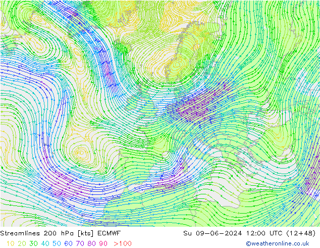 Stromlinien 200 hPa ECMWF So 09.06.2024 12 UTC