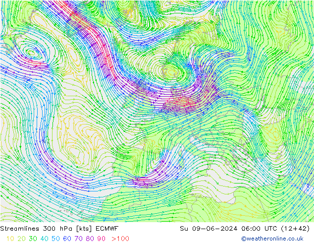 Linea di flusso 300 hPa ECMWF dom 09.06.2024 06 UTC