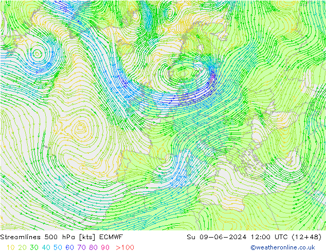 Stromlinien 500 hPa ECMWF So 09.06.2024 12 UTC