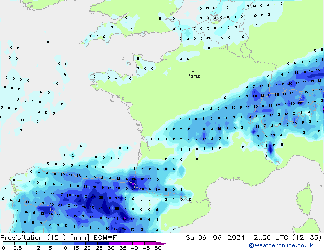 Precipitation (12h) ECMWF Su 09.06.2024 00 UTC