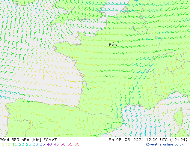 Wind 850 hPa ECMWF Sa 08.06.2024 12 UTC