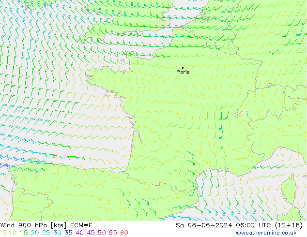 Rüzgar 900 hPa ECMWF Cts 08.06.2024 06 UTC