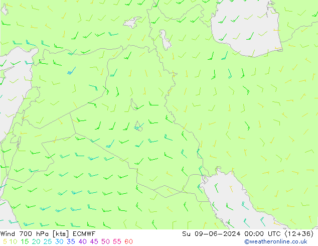 Wind 700 hPa ECMWF Su 09.06.2024 00 UTC