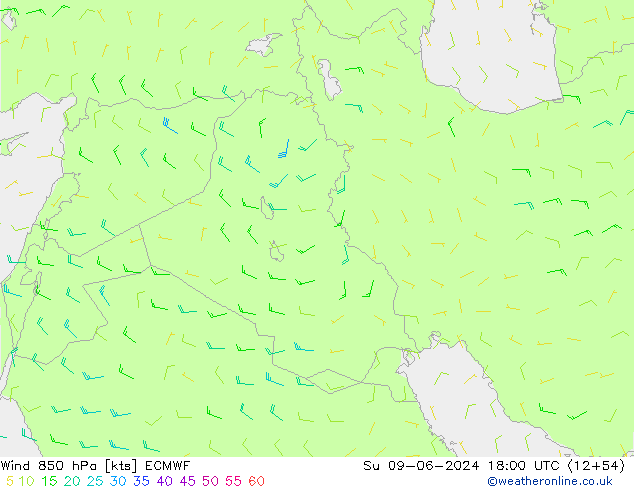 wiatr 850 hPa ECMWF nie. 09.06.2024 18 UTC