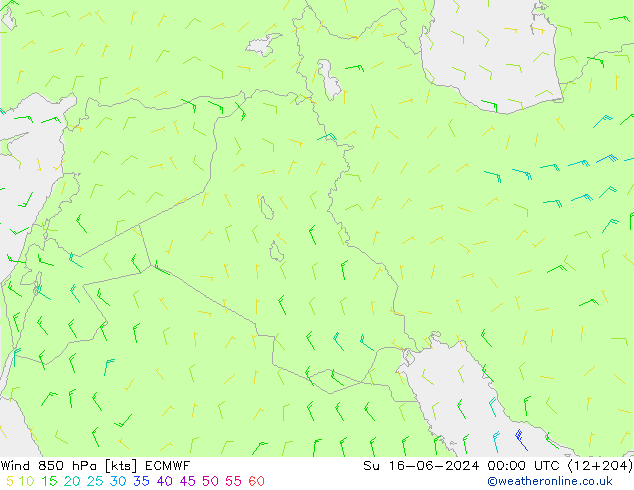 Rüzgar 850 hPa ECMWF Paz 16.06.2024 00 UTC