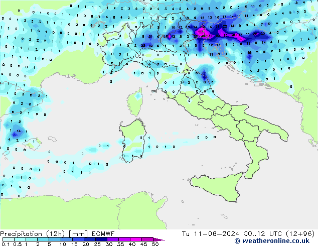 Precipitation (12h) ECMWF Tu 11.06.2024 12 UTC