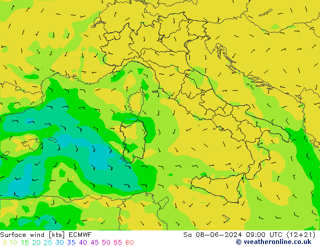  za 08.06.2024 09 UTC