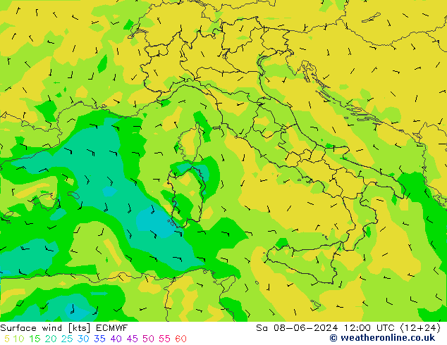  za 08.06.2024 12 UTC