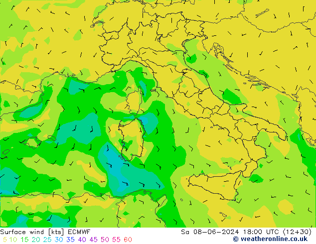  za 08.06.2024 18 UTC