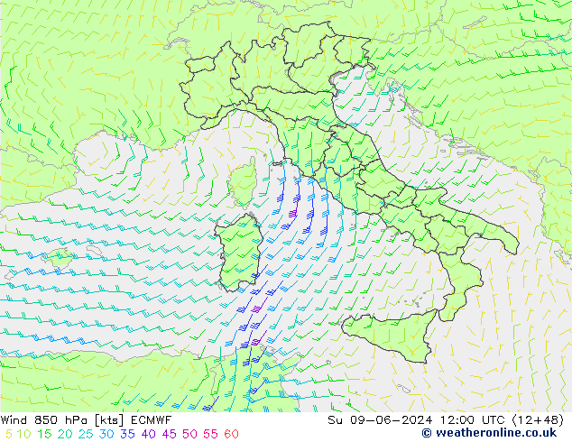 Rüzgar 850 hPa ECMWF Paz 09.06.2024 12 UTC