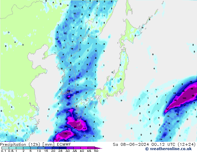 Precipitation (12h) ECMWF Sa 08.06.2024 12 UTC