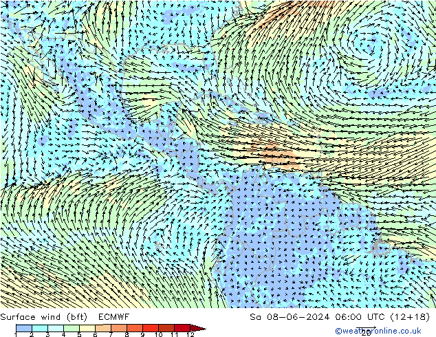 Rüzgar 10 m (bft) ECMWF Cts 08.06.2024 06 UTC