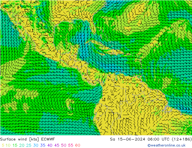 Wind 10 m ECMWF za 15.06.2024 06 UTC