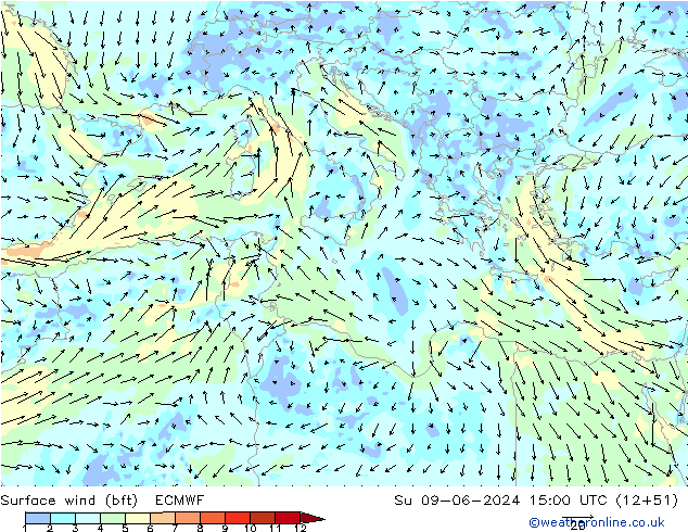 Wind 10 m (bft) ECMWF zo 09.06.2024 15 UTC