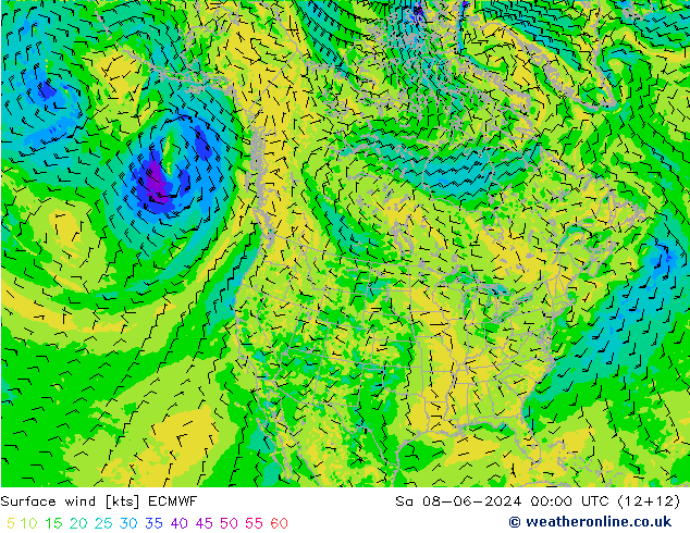 Rüzgar 10 m ECMWF Cts 08.06.2024 00 UTC