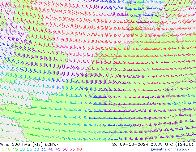 Wind 500 hPa ECMWF So 09.06.2024 00 UTC