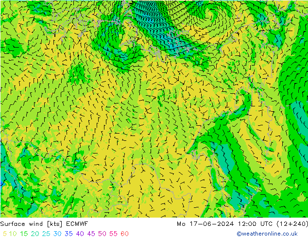 Rüzgar 10 m ECMWF Pzt 17.06.2024 12 UTC