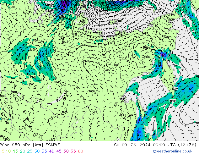 wiatr 950 hPa ECMWF nie. 09.06.2024 00 UTC