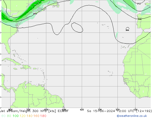  ECMWF  15.06.2024 12 UTC