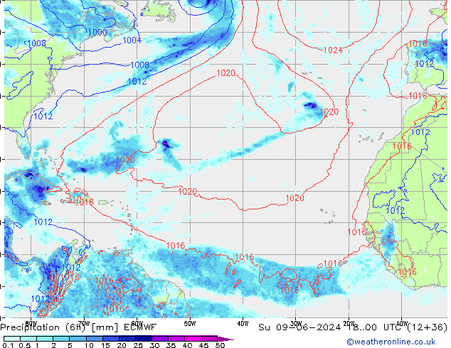 Z500/Rain (+SLP)/Z850 ECMWF Dom 09.06.2024 00 UTC