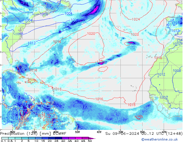 Precipitación (12h) ECMWF dom 09.06.2024 12 UTC