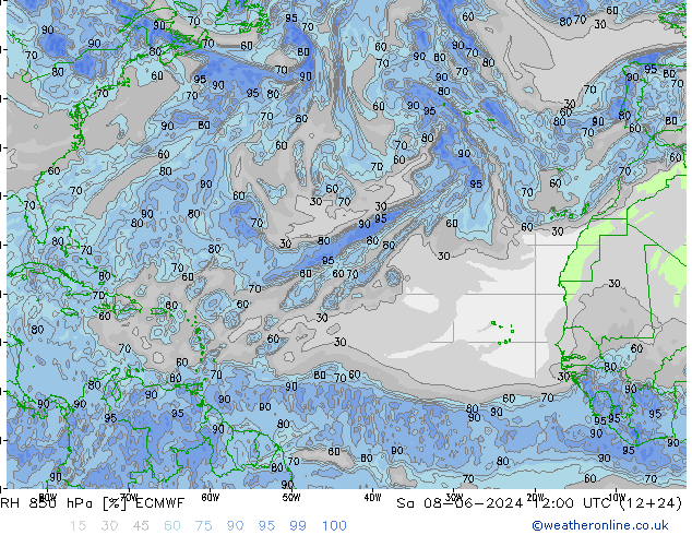 RH 850 hPa ECMWF Sa 08.06.2024 12 UTC