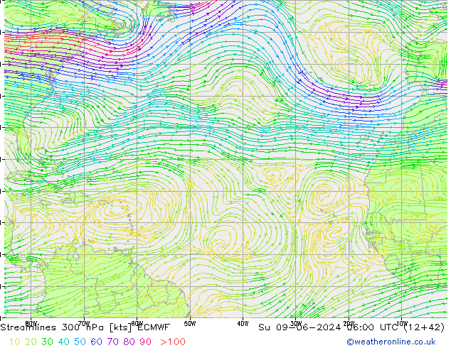 Linea di flusso 300 hPa ECMWF dom 09.06.2024 06 UTC