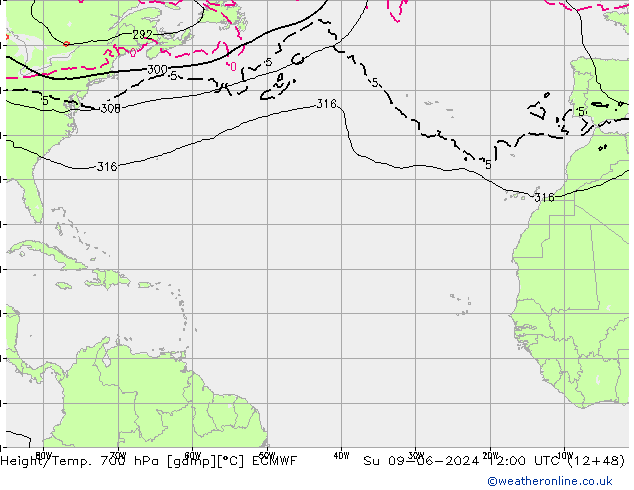 Height/Temp. 700 hPa ECMWF dom 09.06.2024 12 UTC