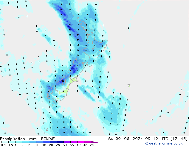 Neerslag ECMWF zo 09.06.2024 12 UTC