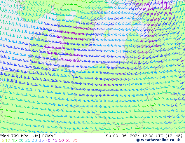 Wind 700 hPa ECMWF zo 09.06.2024 12 UTC