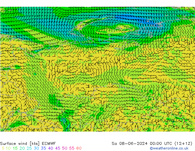 Rüzgar 10 m ECMWF Cts 08.06.2024 00 UTC