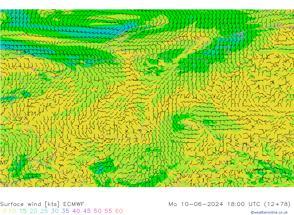 Surface wind ECMWF Po 10.06.2024 18 UTC