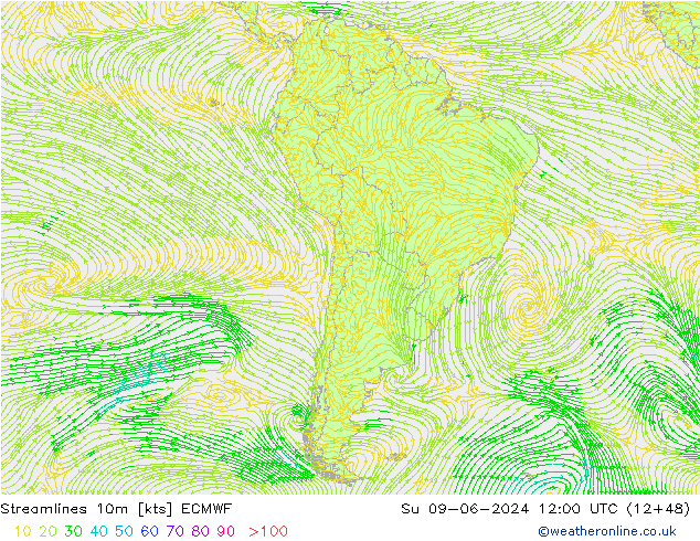 Ligne de courant 10m ECMWF dim 09.06.2024 12 UTC