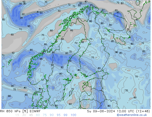 Humedad rel. 850hPa ECMWF dom 09.06.2024 12 UTC