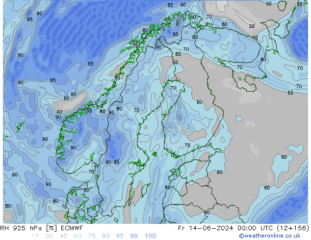 RH 925 гПа ECMWF пт 14.06.2024 00 UTC