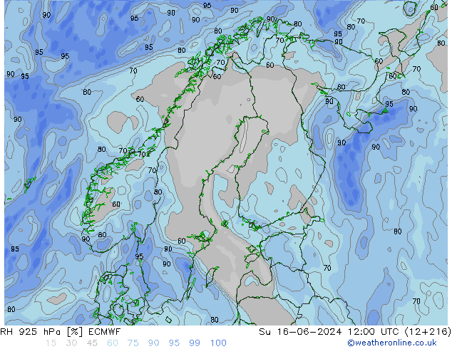 RH 925 hPa ECMWF Su 16.06.2024 12 UTC