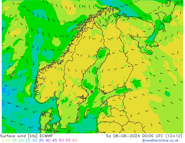 Bodenwind ECMWF Sa 08.06.2024 00 UTC