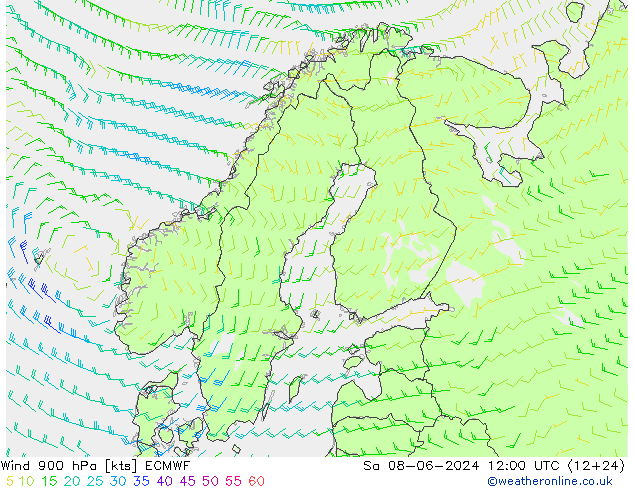 Rüzgar 900 hPa ECMWF Cts 08.06.2024 12 UTC