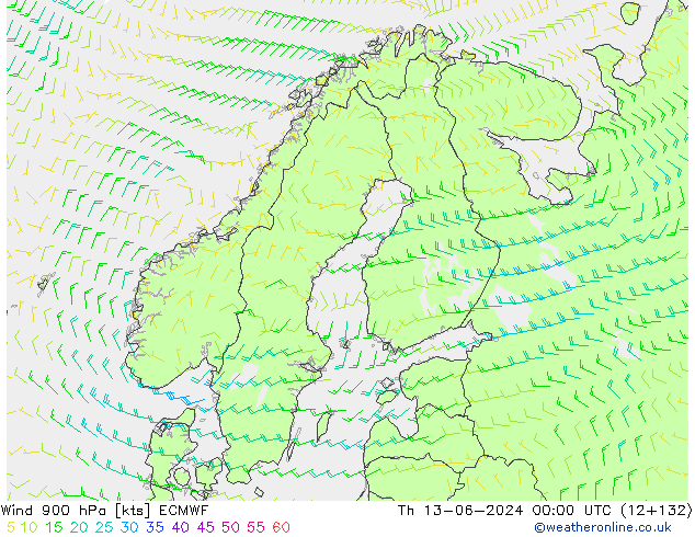 Wind 900 hPa ECMWF Th 13.06.2024 00 UTC