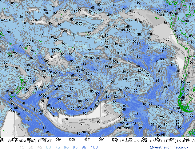 RH 850 гПа ECMWF сб 15.06.2024 06 UTC