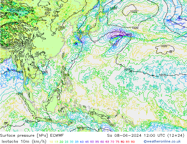 Izotacha (km/godz) ECMWF so. 08.06.2024 12 UTC