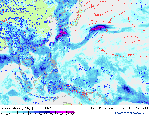 Precipitação (12h) ECMWF Sáb 08.06.2024 12 UTC