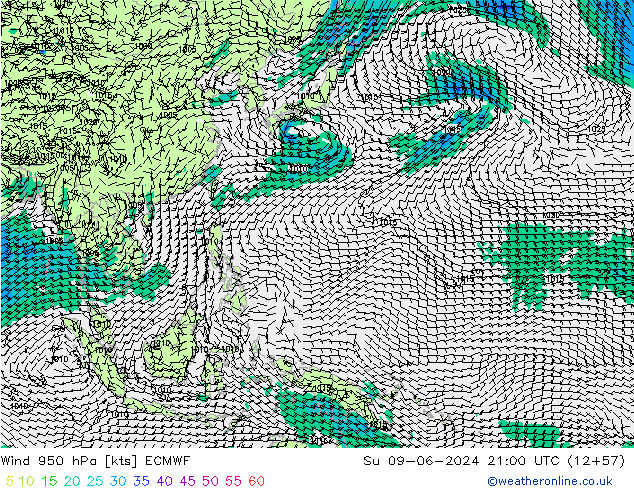 Wind 950 hPa ECMWF Su 09.06.2024 21 UTC