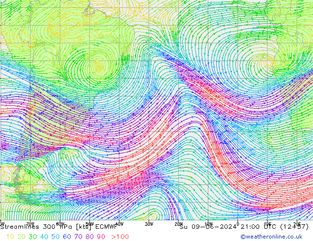 Ligne de courant 300 hPa ECMWF dim 09.06.2024 21 UTC