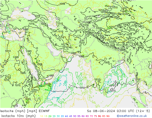 Isotachs (mph) ECMWF sam 08.06.2024 03 UTC