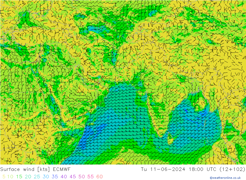 ветер 10 m ECMWF вт 11.06.2024 18 UTC