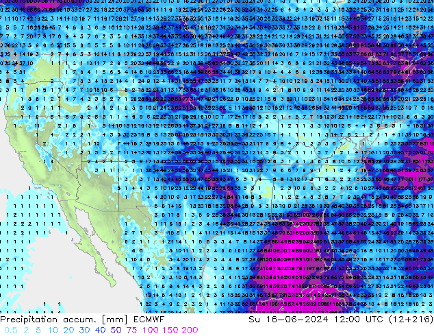 Precipitation accum. ECMWF Dom 16.06.2024 12 UTC