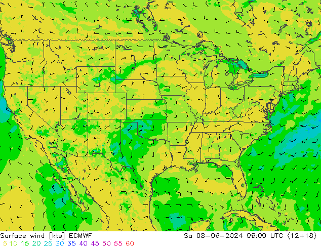 Rüzgar 10 m ECMWF Cts 08.06.2024 06 UTC