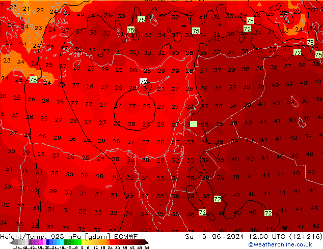 Geop./Temp. 925 hPa ECMWF dom 16.06.2024 12 UTC